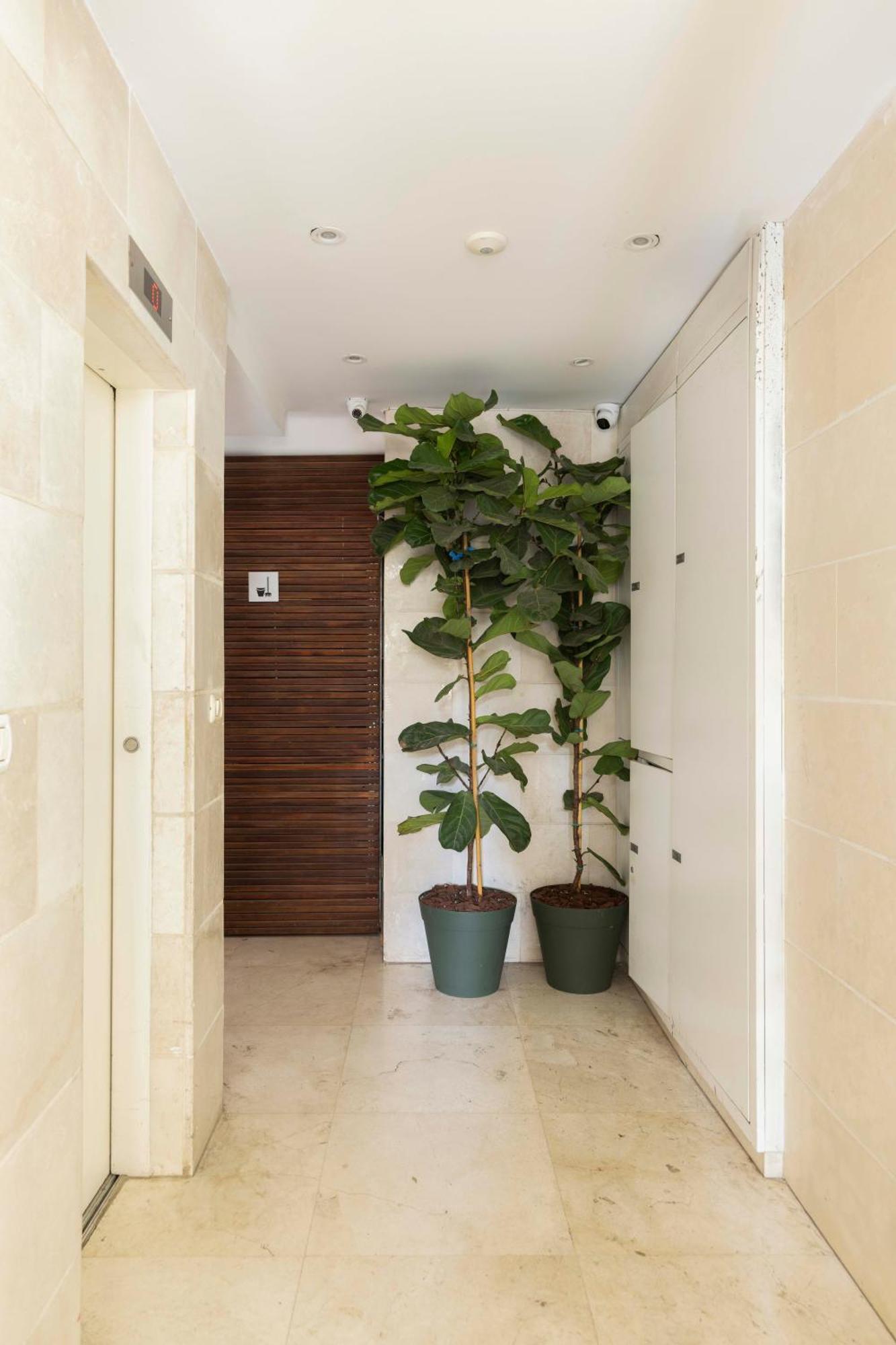 The Beach Life Complex - By Localz Group Tel Aviv Buitenkant foto
